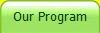 Our Program